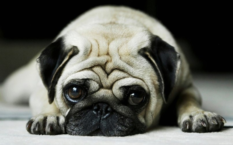 Богдан Кириченко 波格丹 | Луганск