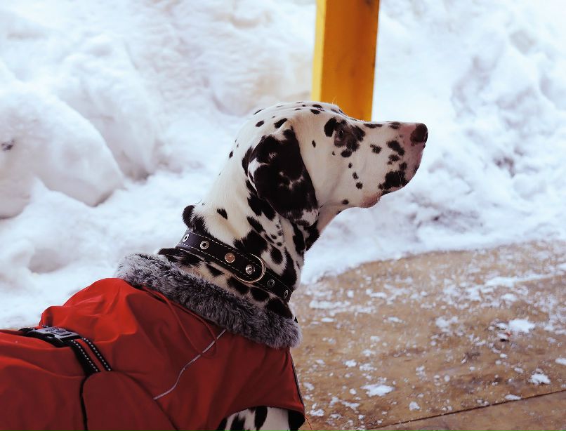 Карина Калабаева | Казань