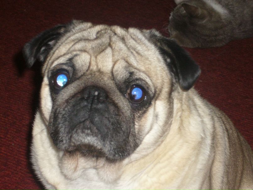 Светлана Вирячёва | Пикалево