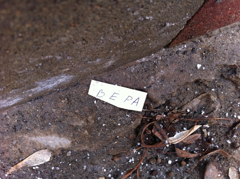 Вера Ермохина | Москва