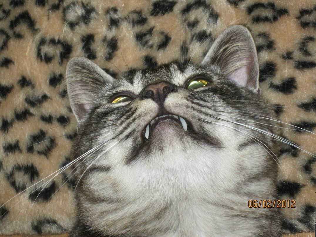 Ира Путилина ♫♪•♥¸¸.•★*•♫.♥♫♪•♥¸¸.•★ | Рязань