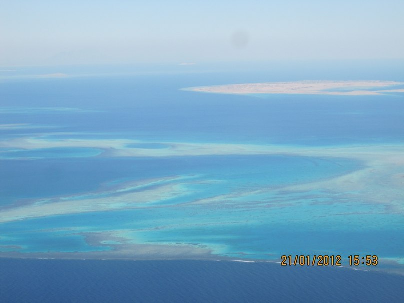 Жанна Левина | Щелково