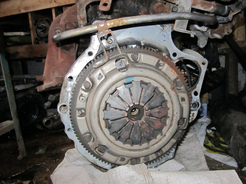 Женя Шийка | Manchester