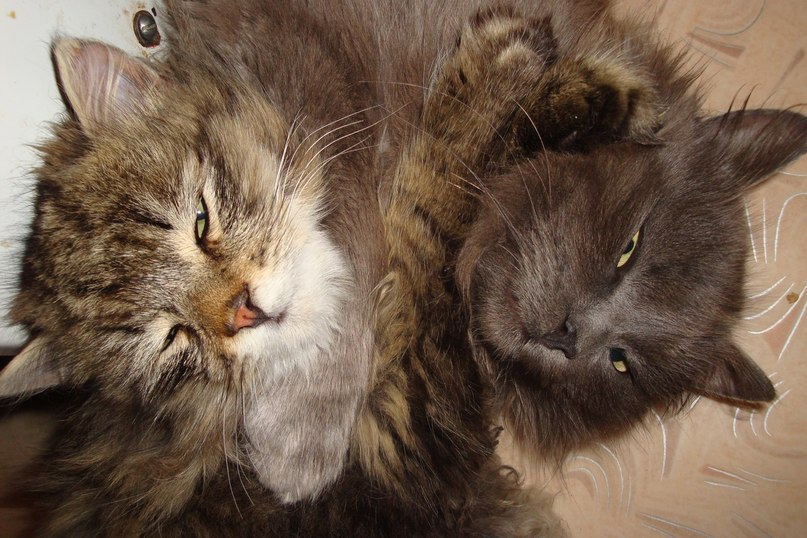 Ксения Наумова | Липецк