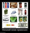 Фотография Потапова Романа