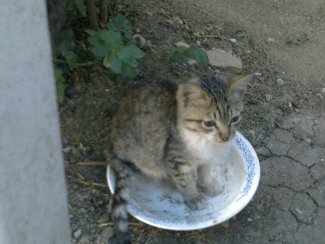 Руслана Русланова | Махачкала