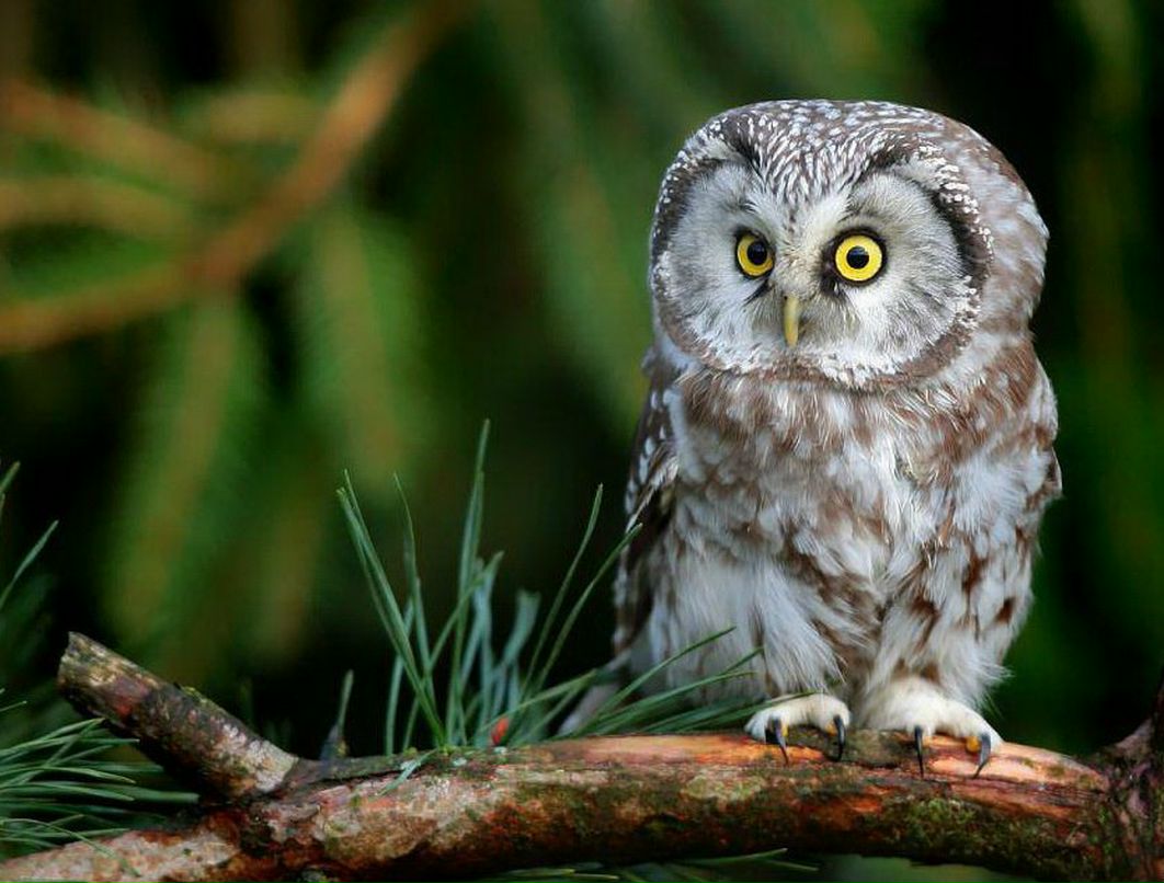 Кристина Олейникова | Санкт-Петербург