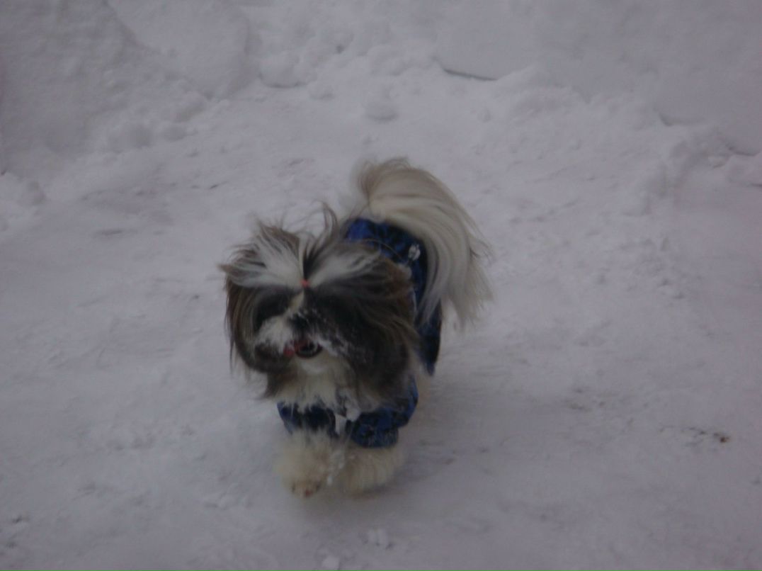 Ольга Павлова | Москва