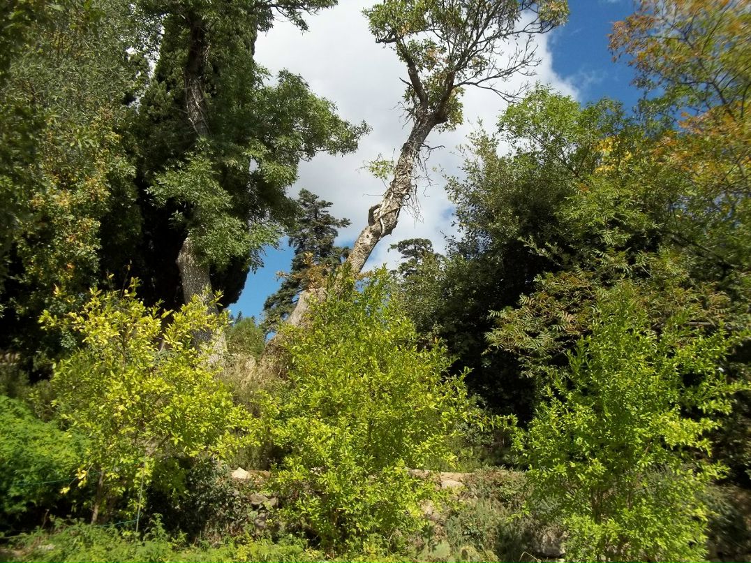 Алексей Зинюк | Бердянск