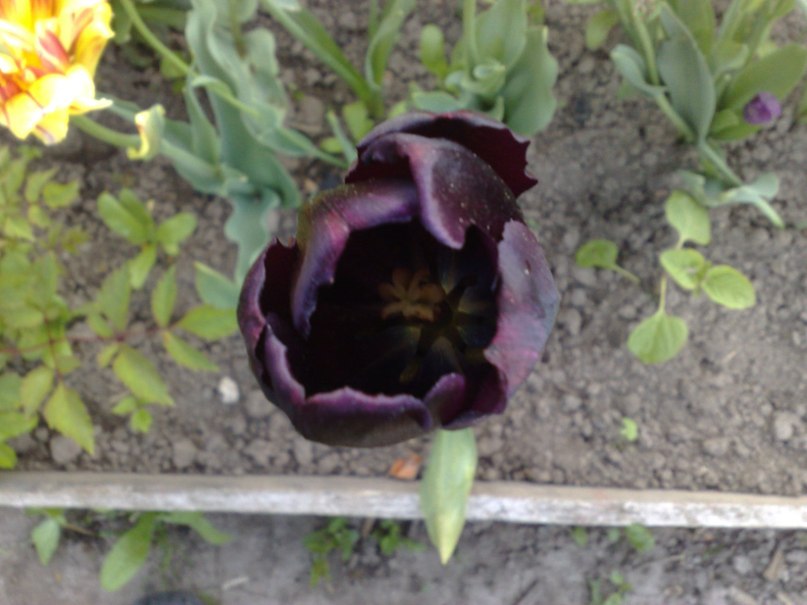 Алексей Яковлев | Москва