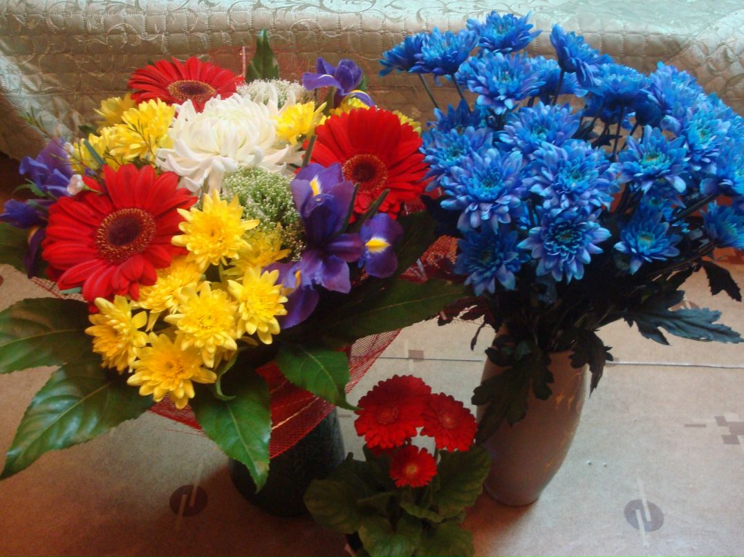 Наталья Кабаченко | 