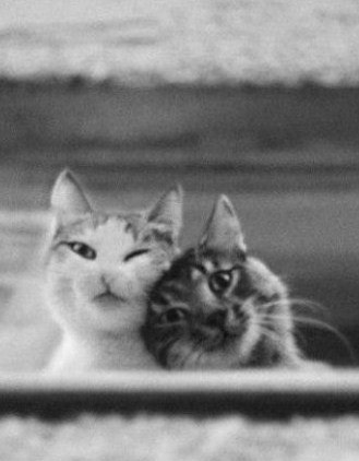 Мария Смирнова | Екатеринбург