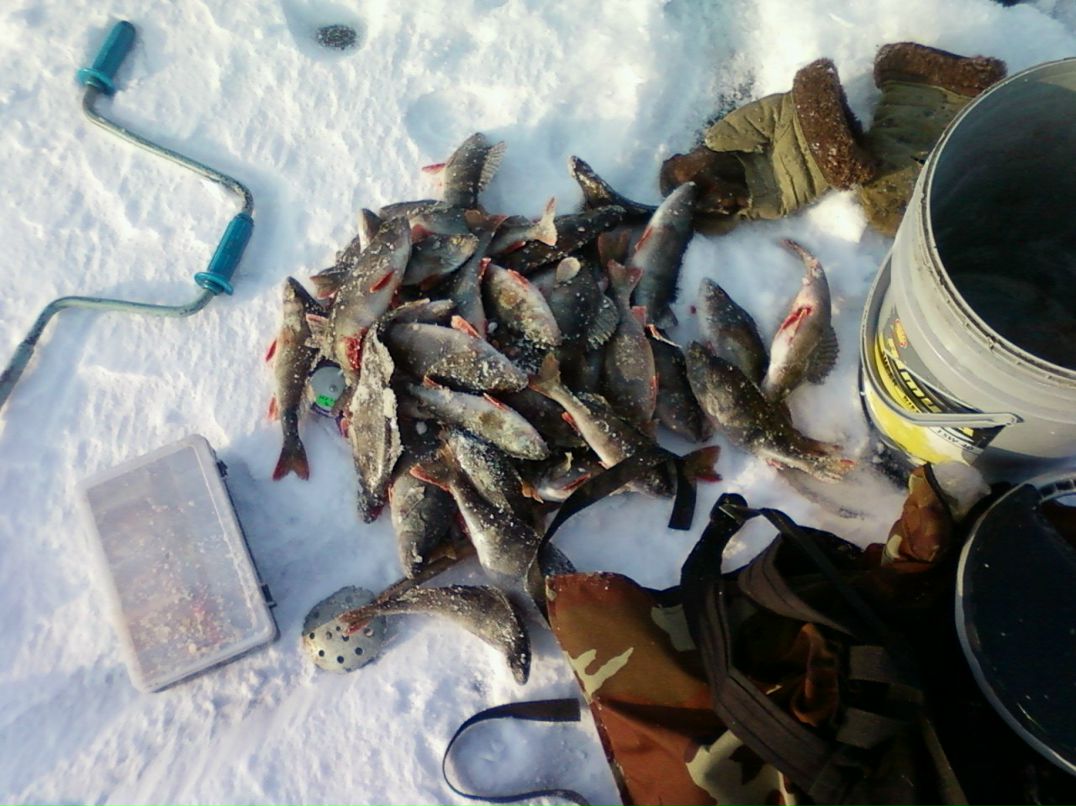 Владимир Мамаев | Ильинский