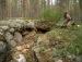 Михаил Камозин фотография #33 (источник - https://vk.com/id82740017)