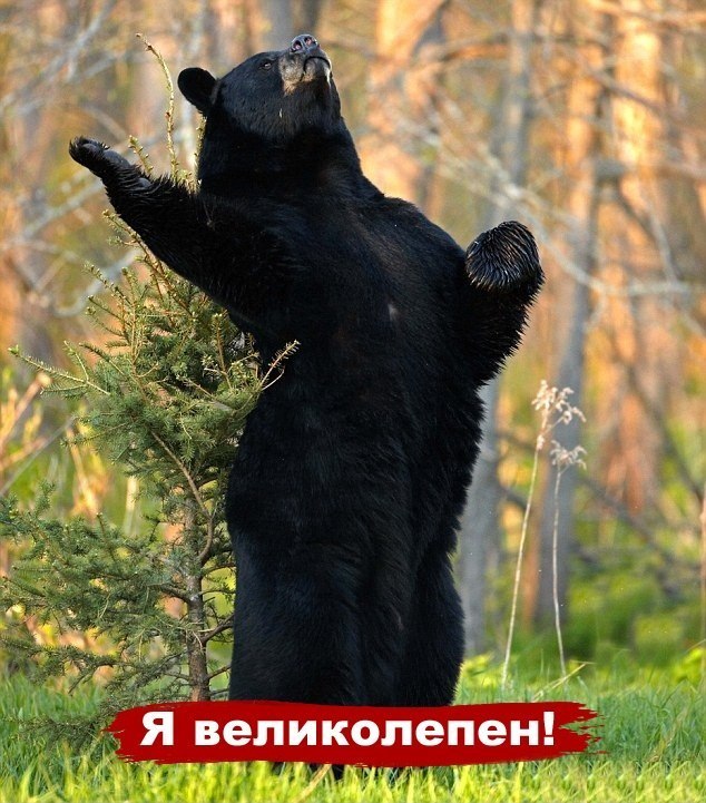 Дмитрий Скоблов | 