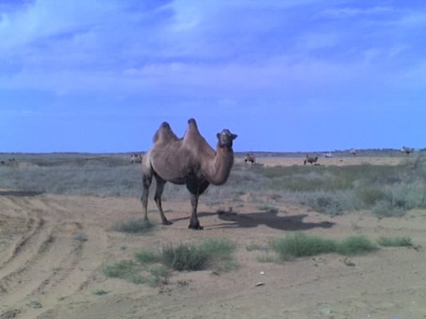 Владимир Попов Владимирович | Северодвинск