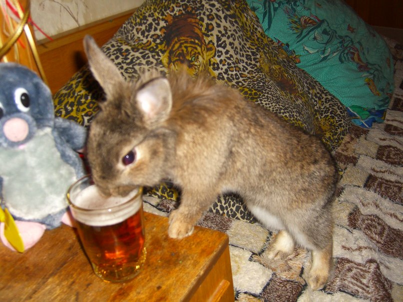 Артем Усов Юрьевич | Бор (поселок)