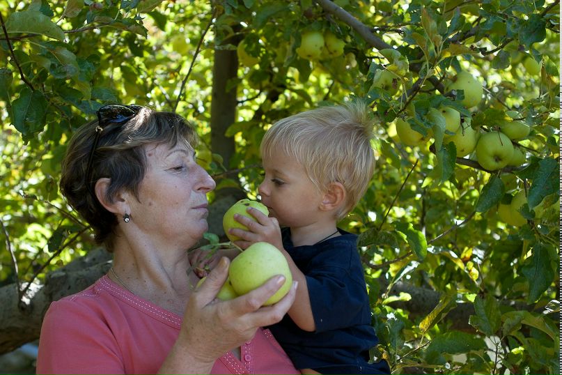 Надежда Соколова | Королёв