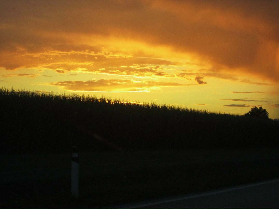 Регина Сагдеева | Новосибирск