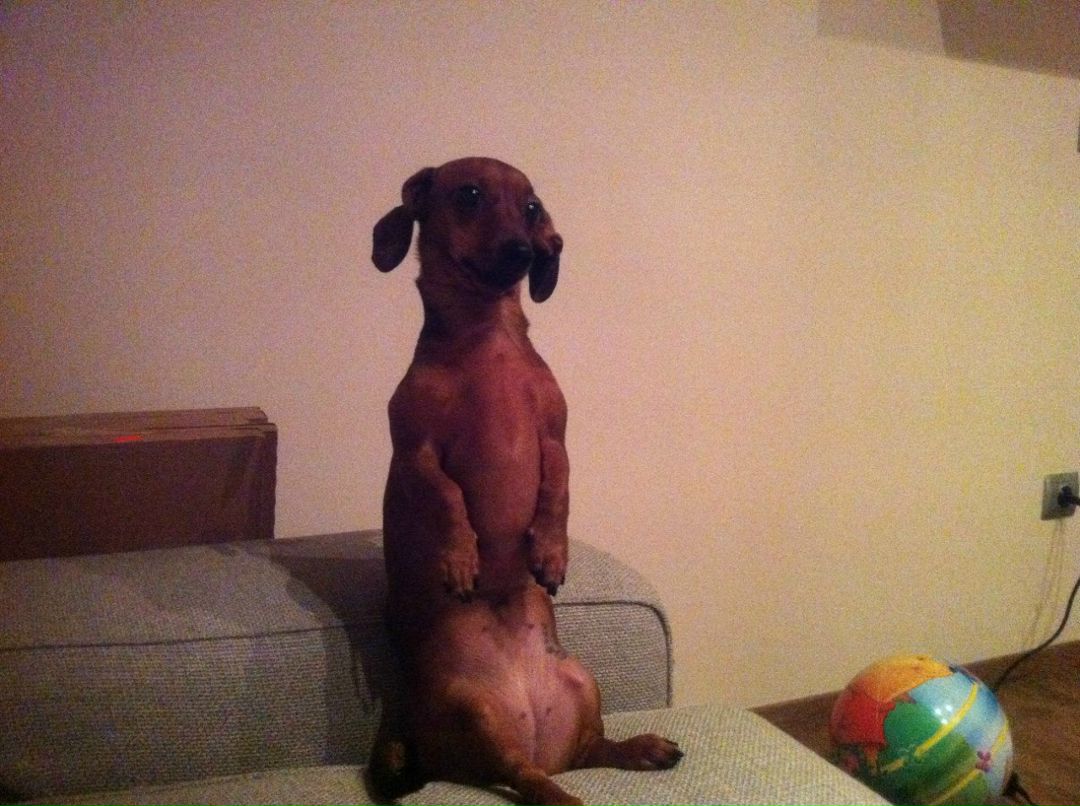 Алексей Денисов | Санкт-Петербург