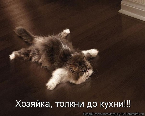 Евгения Стариннова ЗаЕнЬкА | Санкт-Петербург