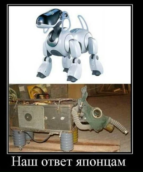 №6, Максим Литвиненко №6, Максим Литвиненко