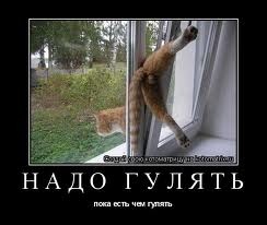 №75, Вассим Шемли, 42 года, Sousse №75, Вассим Шемли, 42 года, Sousse