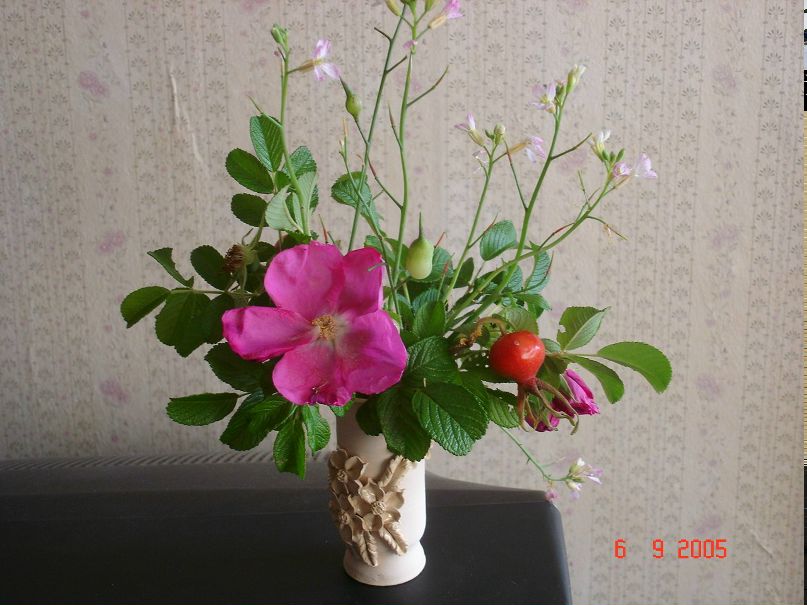 Наталья Чернова | Санкт-Петербург