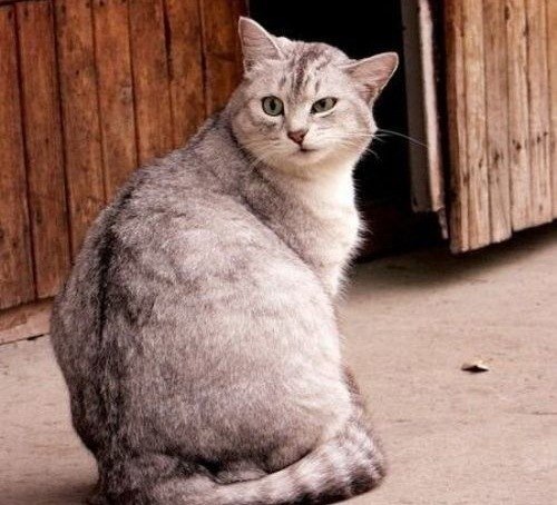 Станислав Сиротин | Москва