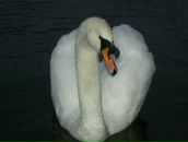 №24 Танюха Жучкова 21.03.1987: профиль, фото, статус - ВКонтакте