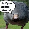 Фотография Винокурова Евгения