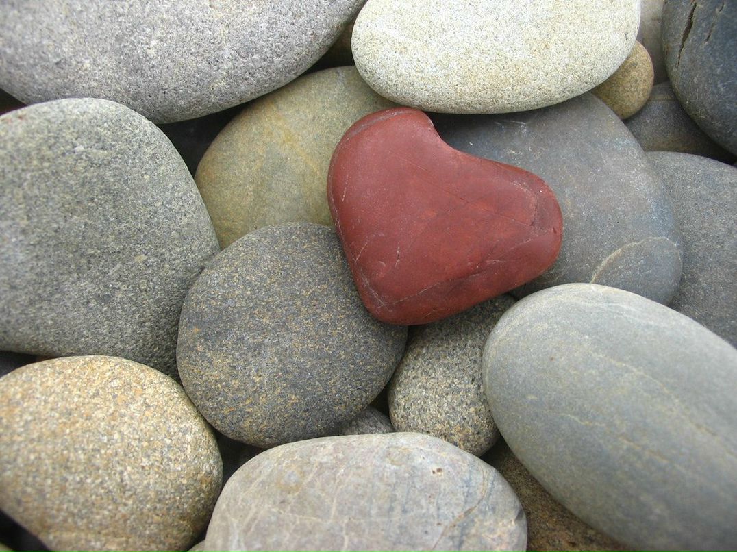 Александр Полторак | Одесса