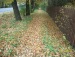 Михаил Шерстобитов фотография #17