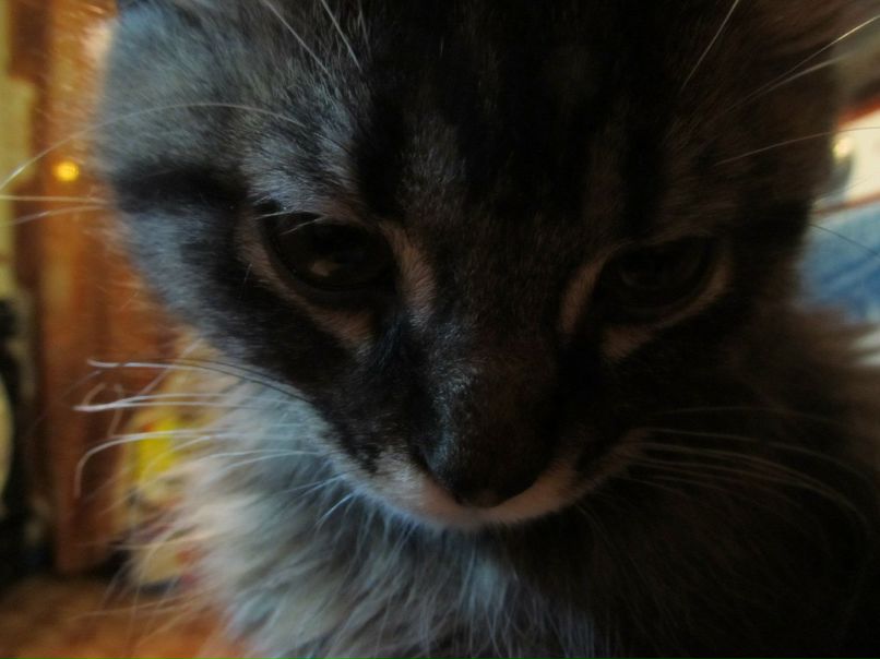 Наташа Ласкина | Санкт-Петербург