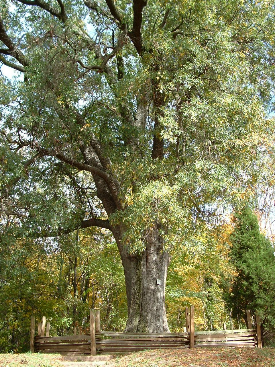 Владислав Лосев Obbjh | Сумы