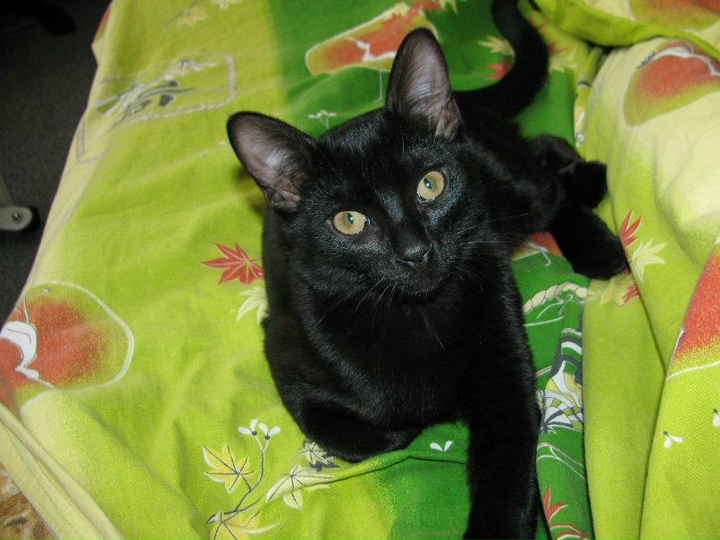 Svet Lana | Костомукша