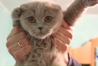 №27 Маргарита Махмудова 02.08.1987: профиль, фото, статус - ВКонтакте №27 Маргарита Махмудова 02.08.1987: профиль, фото, статус - ВКонтакте