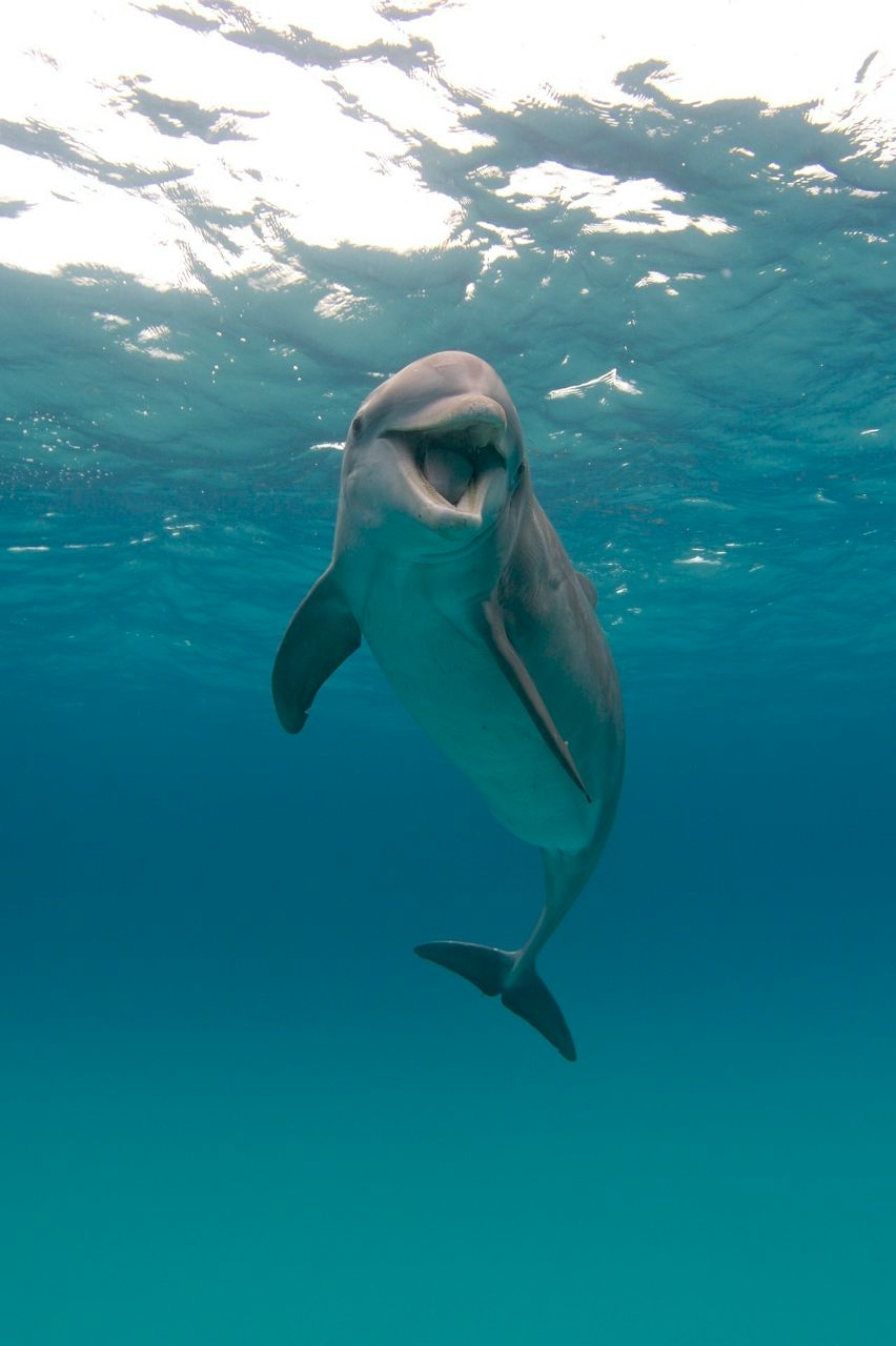 Алексей Титов | Москва