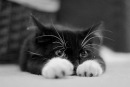 Фотография Насти Dankel