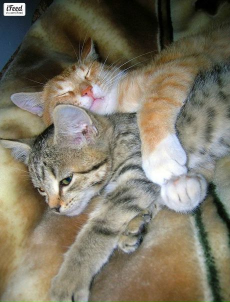 №81, Артем Бутманов №81, Артем Бутманов