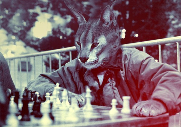 Rustem Kurbansky | Ижевск