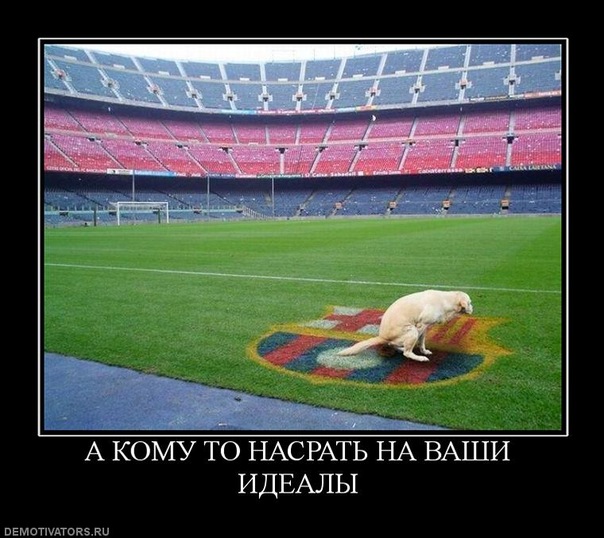 №131, Джамал Гебеков, 39 лет, London №131, Джамал Гебеков, 39 лет, London