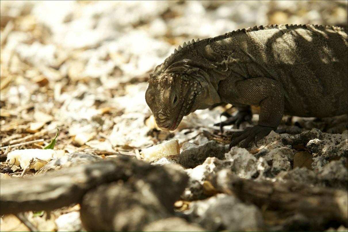 Юлия Пуресева | Екатеринбург