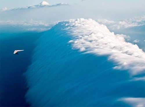 Leon Akira | Genève