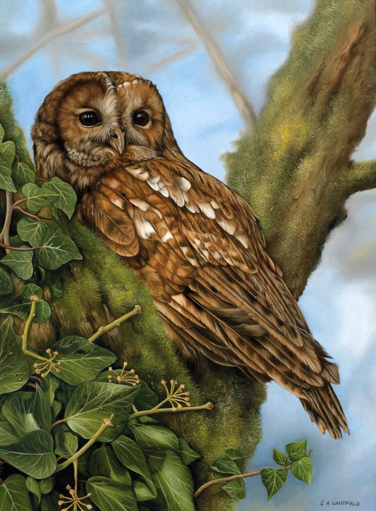 Александр Белокуров хисП | Москва