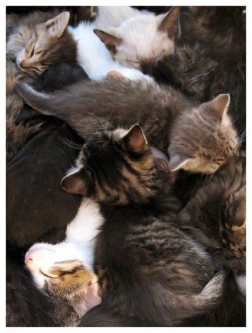 №146, Маргарита Богородская, Москва №146, Маргарита Богородская, Москва