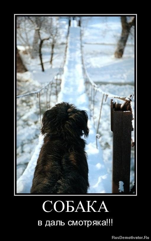 Андрей Лефутуренко | Киев