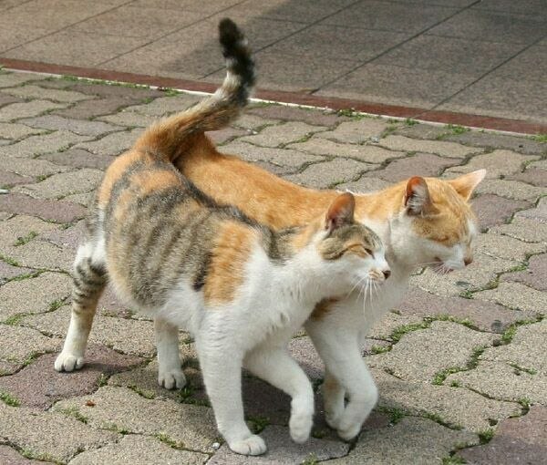 Жанна Самарина | Нижний Новгород