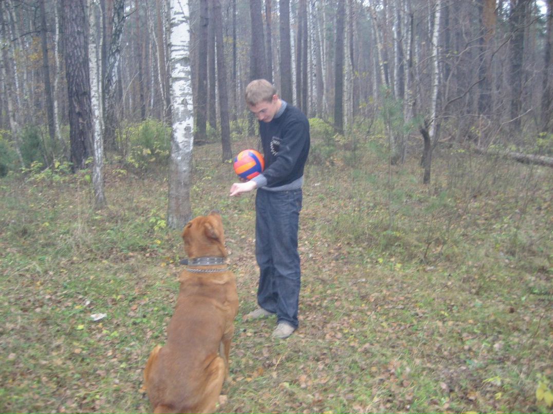 Дмитрий Сцевола | Казань