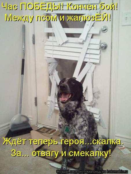 №19, Даша-Даськин Мархель №19, Даша-Даськин Мархель